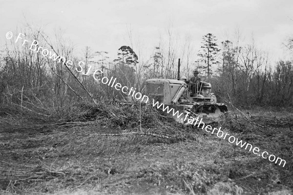 BULLDOZER  CLEARING SCRUB AND TREES